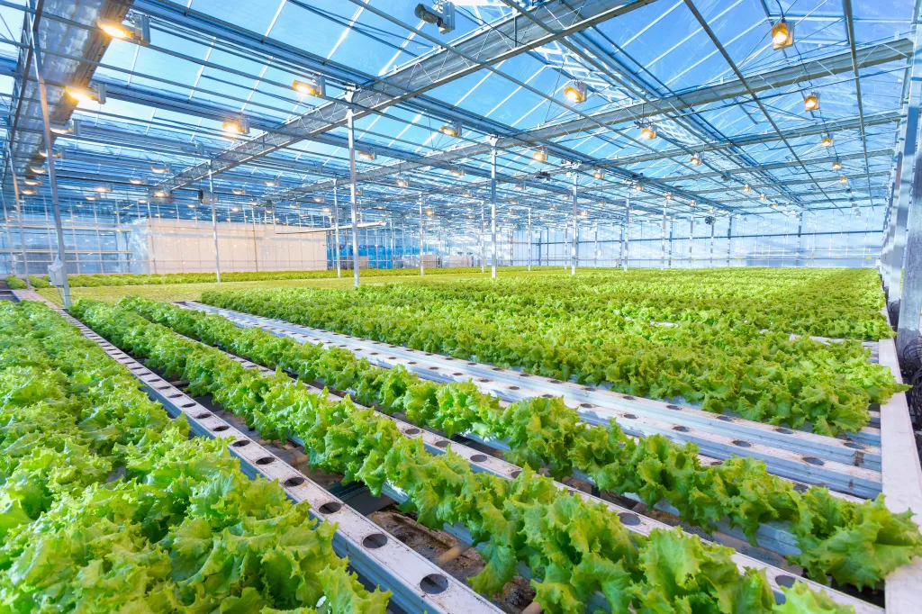DeepVelo irrigation technology working across a cultivated field